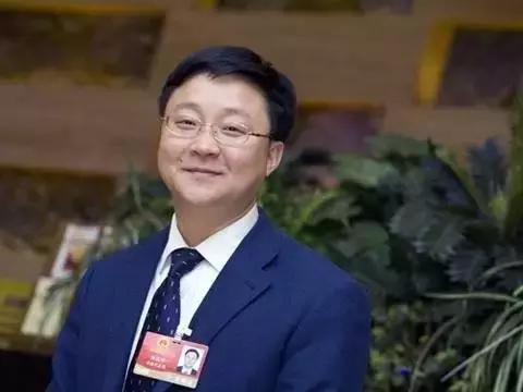 全国人大代表、讯飞总裁刘庆峰